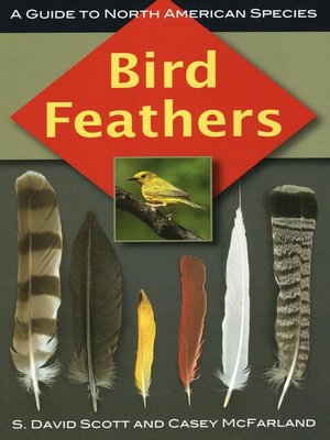 cover image of Bird Feathers